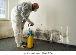 Reliable Paramount, CA Mold Removal & Remediation Solutions